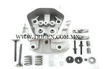 cabeza de valvulas trigen